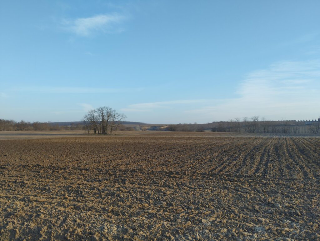 Albertirsa, szántó az M4 mellett