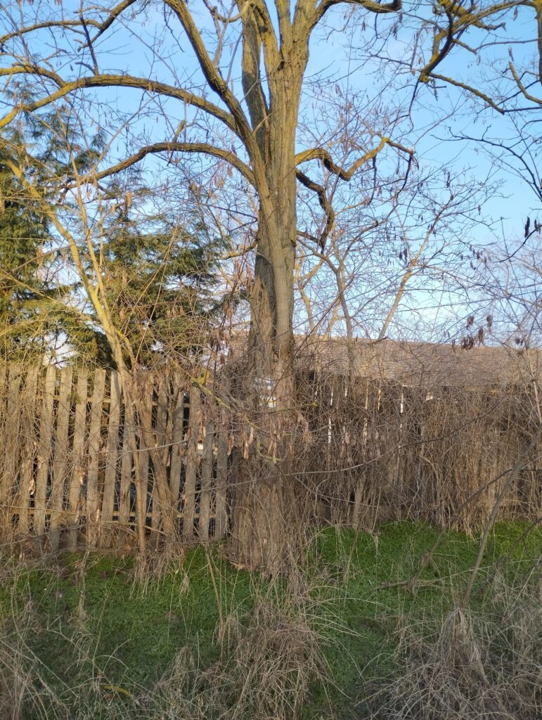 A kék jelzés egyik ritka megmaradt példányainak egyike