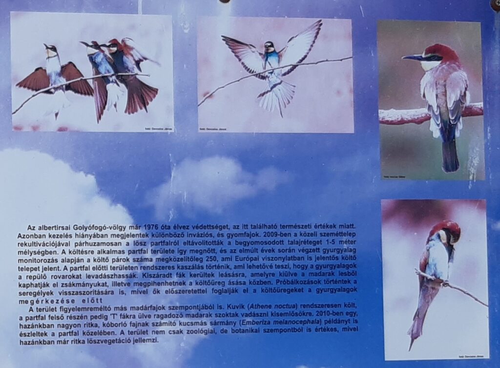 Golyófogó-völgy tájékoztató tábla