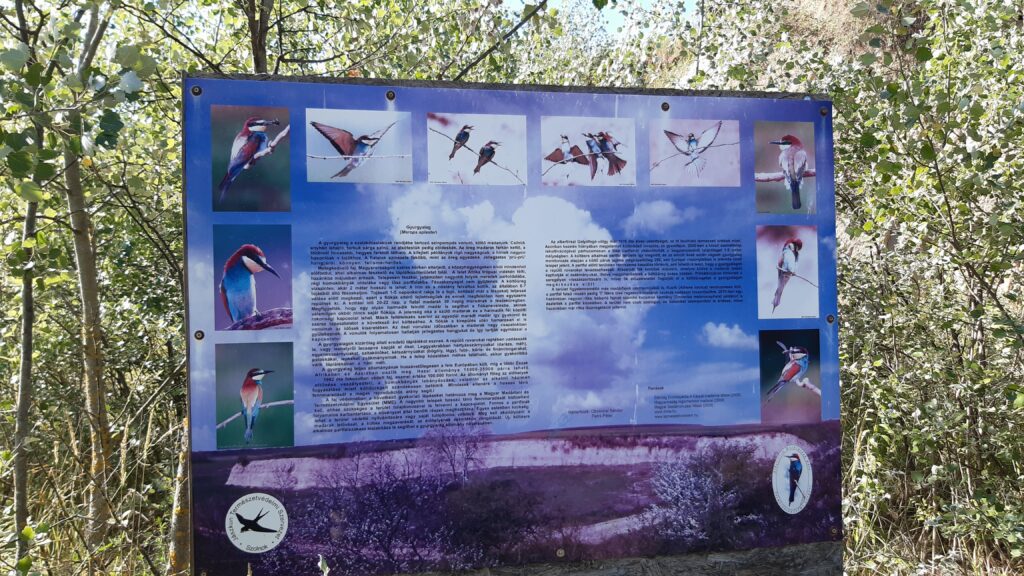 Tájékoztató tábla a gyurgylagról