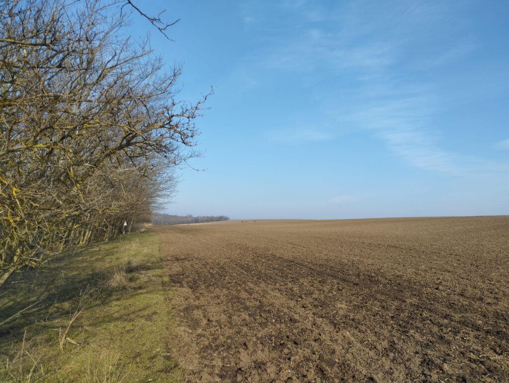 Nem mindenhol ilyen jól járható az út