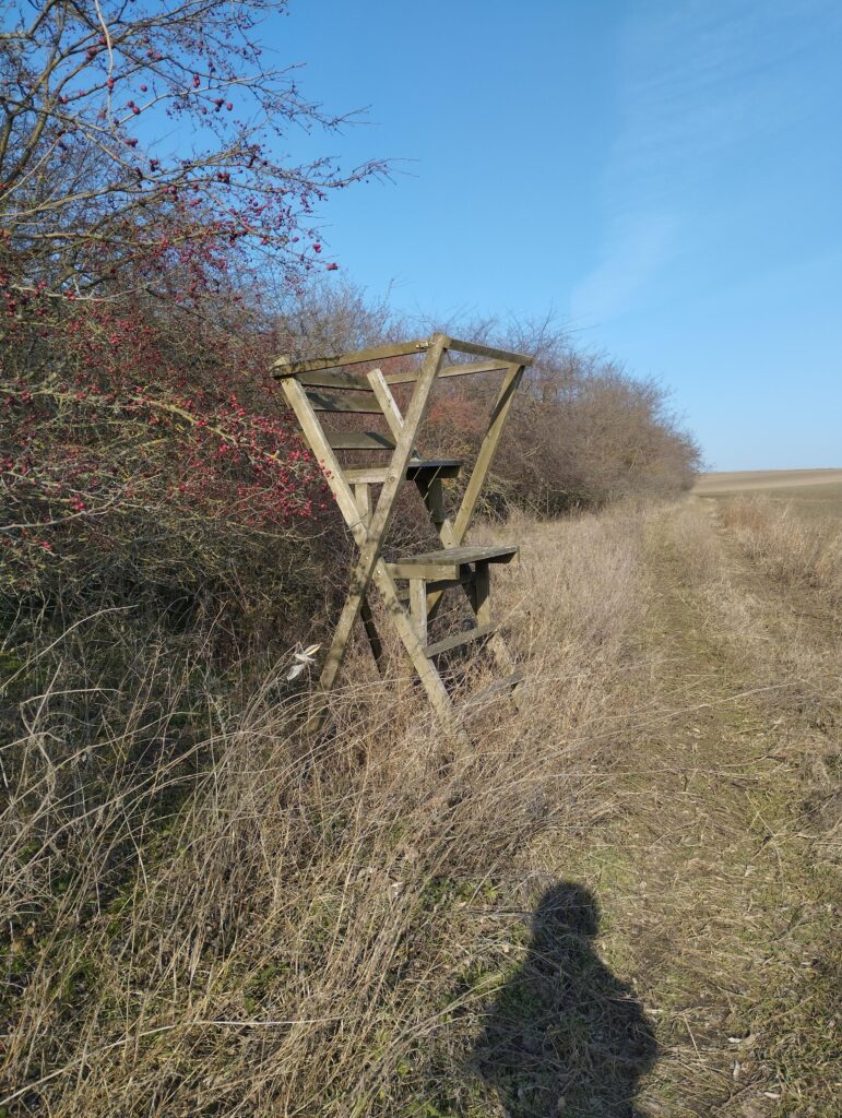 Hársas felett, a szántó mellett vezető út