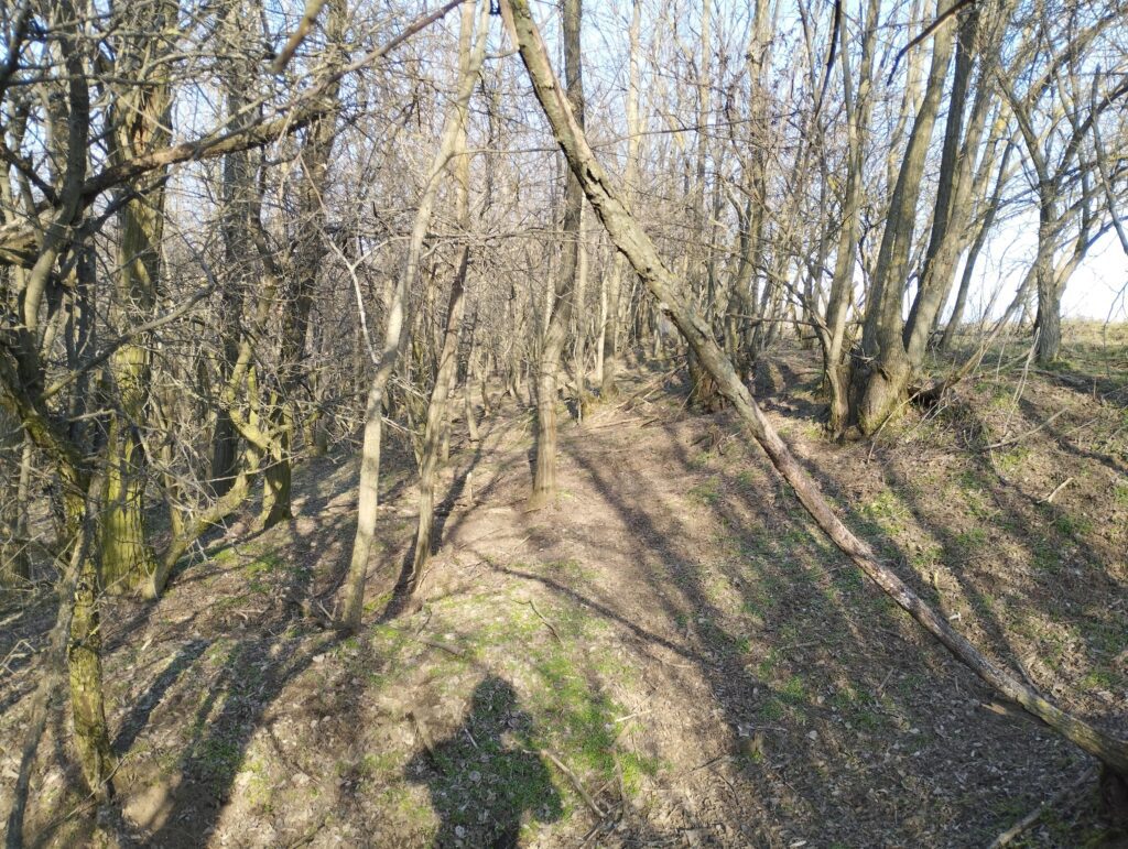 Vadcsapás a Hársasban