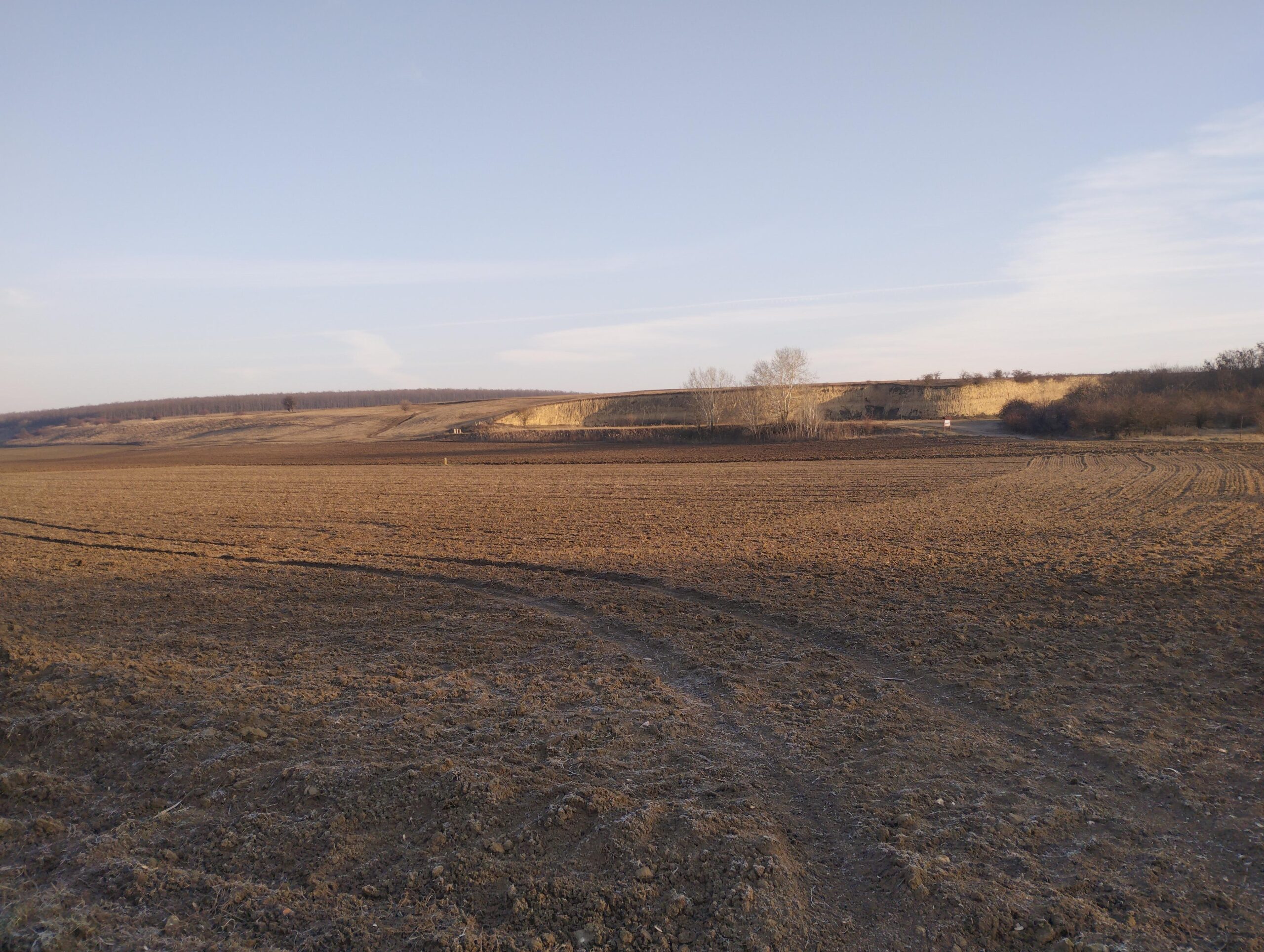 Kilátópont: a gyurgyalagos