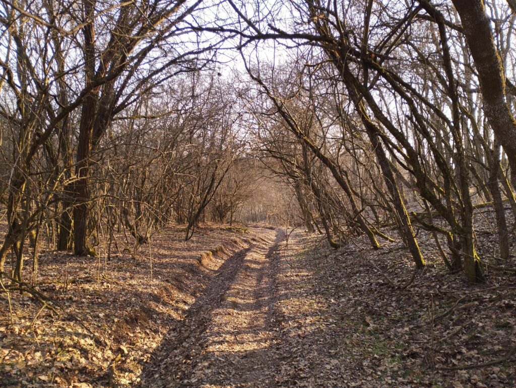 Kisasszonyvölgy vége