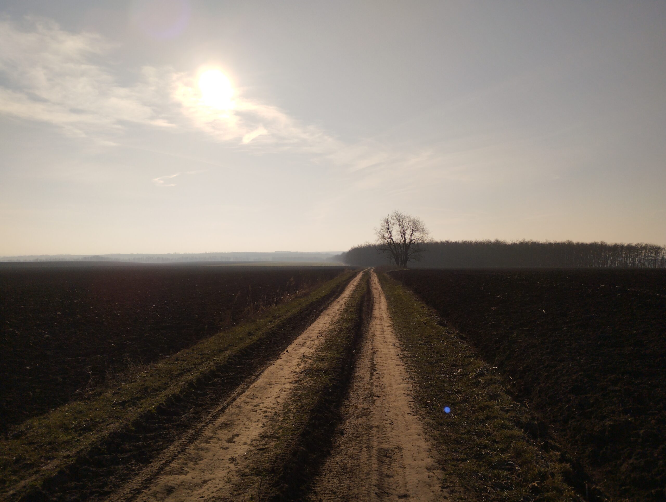 TMK – Tápió-menti Kék (Albertirsa-Tápióbicske szakasz)