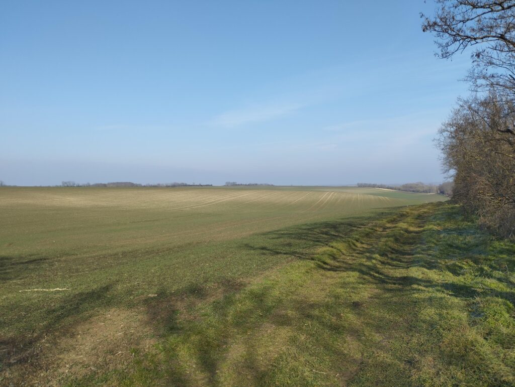 Tápióbicske felé 1