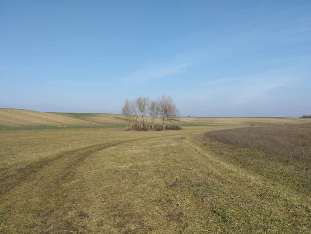 Tápióbicske felé 2