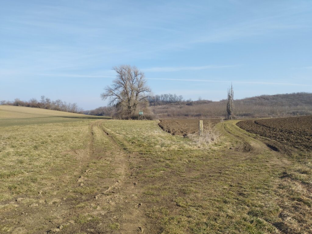 Elágazás Tápióbicske felé