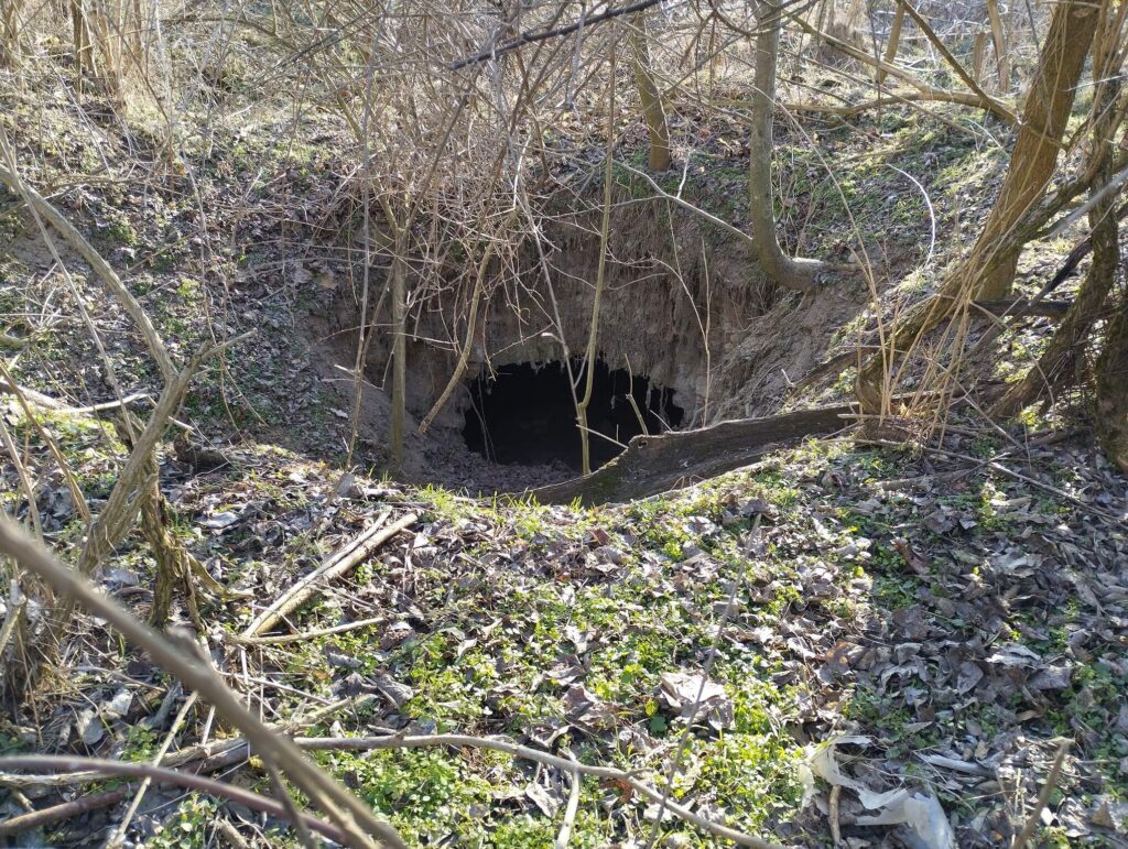 Micsky-hársak pincerom